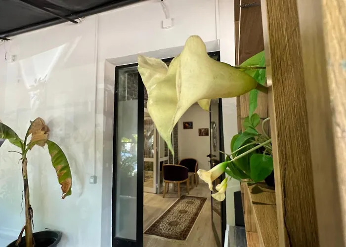 Bed & Breakfast Destination 3*